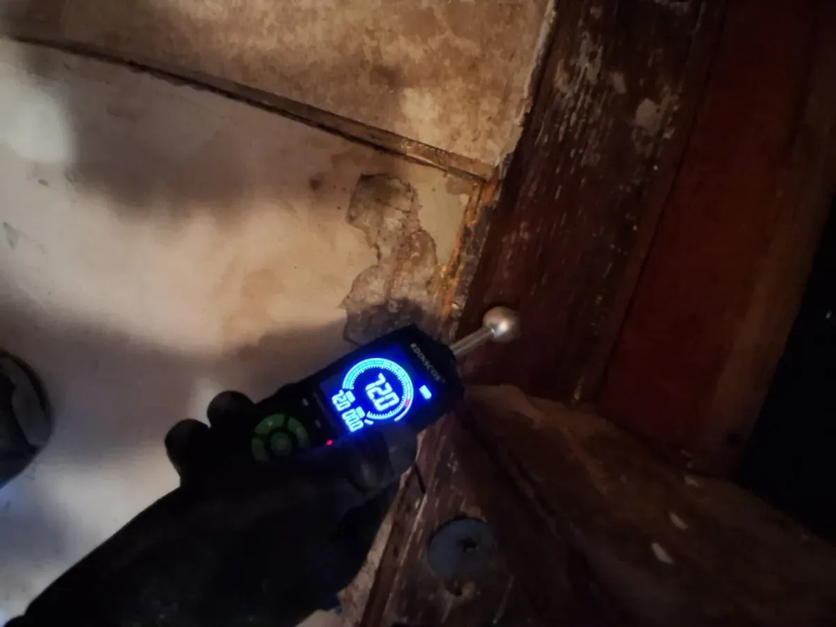 Effective Strategies to Prevent Mold Growth in Bathrooms and Basements