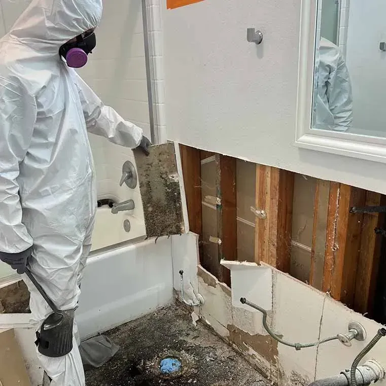 Professional mold removal from wall and structural surfaces