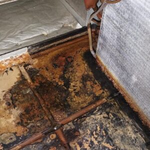 Mold growth in HVAC air handler due to improper drainage